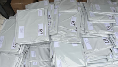 Association Française des Enfants Diabétiques de Type 1 et Leurs Familles, Le Club des DID-1, Jeu, Set et Match, Le Mystère du Stapula, Les Ilots de Langerhans, la BD