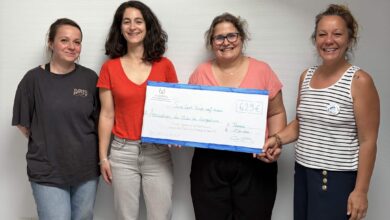 Association Française des Enfants Diabétiques de Type 1 et Leurs Familles, Le Club des DID-1, Jeu, Set et Match, Le Mystère du Stapula, Les Ilots de Langerhans, la BD
