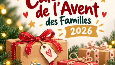 Association Française des Enfants Diabétiques de Type 1 et Leurs Familles, Le Club des DID-1, Jeu, Set et Match, Le Mystère du Stapula, Les Ilots de Langerhans, la BD