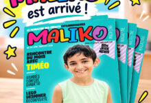 Association Française des Enfants Diabétiques de Type 1 et Leurs Familles, Le Club des DID-1, Jeu, Set et Match, Le Mystère du Stapula, Les Ilots de Langerhans, la BD