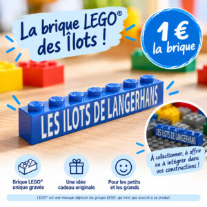 La brique LEGO "Les Ilots de Langerhans"